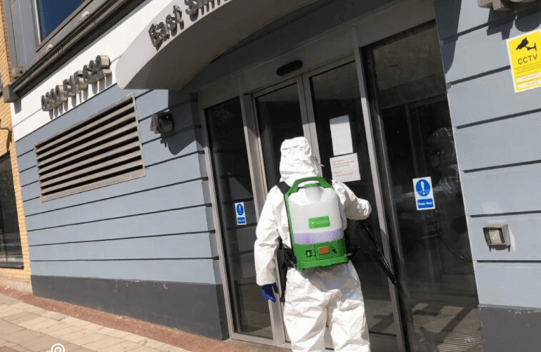 Pest Control Cleaning Services