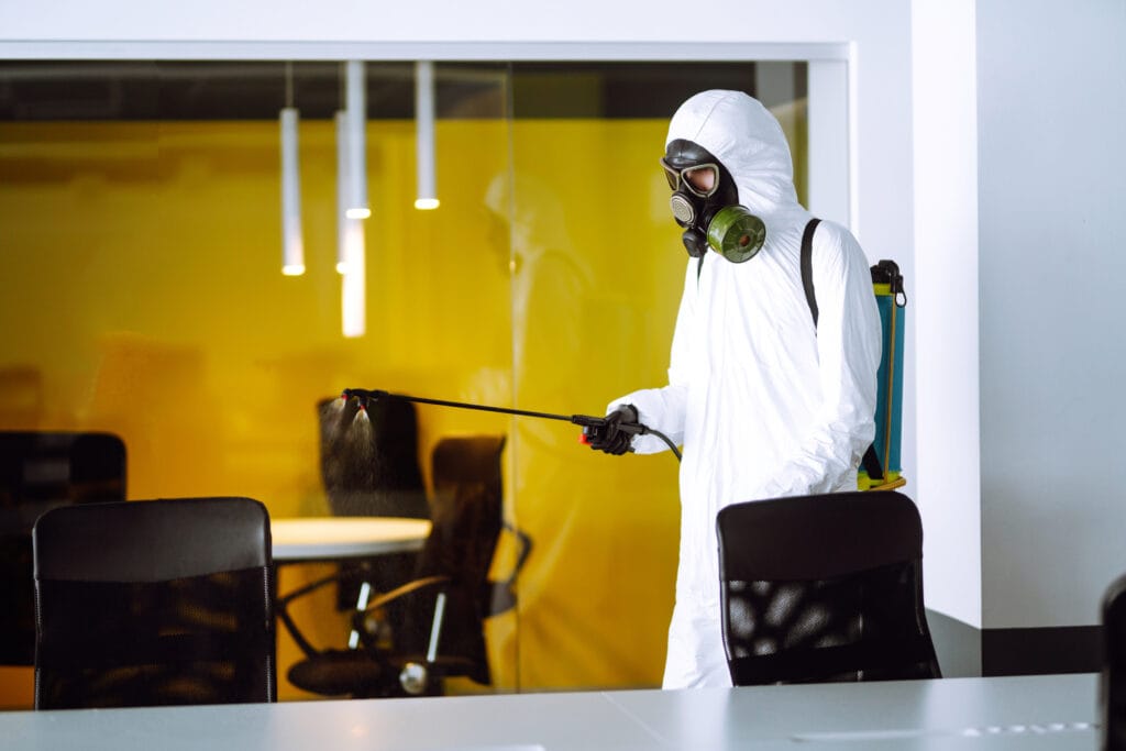 Pest infestation signs and how to spot them