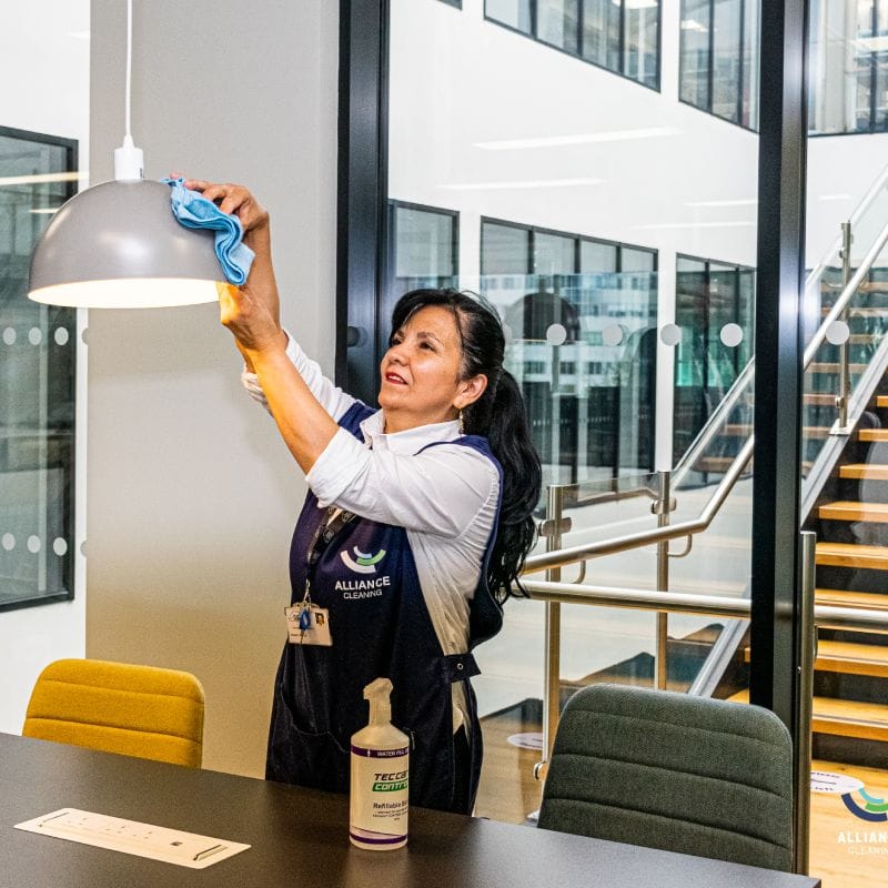 Are you a cleaner looking for employment?